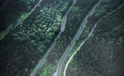 Aerial view, turns of road, green forest