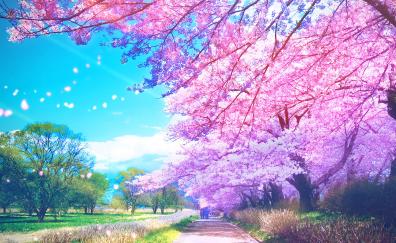 Original, anime, trees, blossom