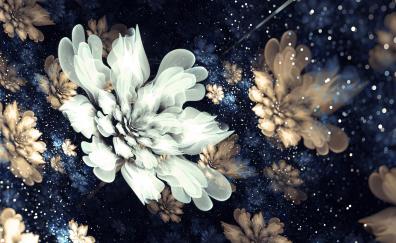 Floral, pattern, fractal, abstract, flowers