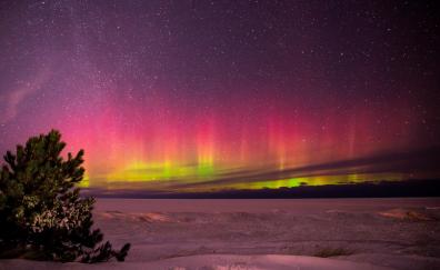 Aurora Borealis, Marquette, landscape, night, Michigan