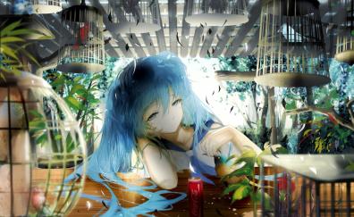 Hangover, blue hair, Hatsune Miku, birds in cage
