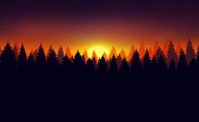 Forest, early morning, silhouette