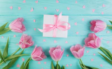 Gift box, fresh tulips, flowers