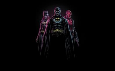 Bat-family, superhero