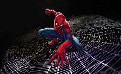 Spider-man, dynamic web, art