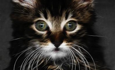 Digital art, adorable kitten, cat
