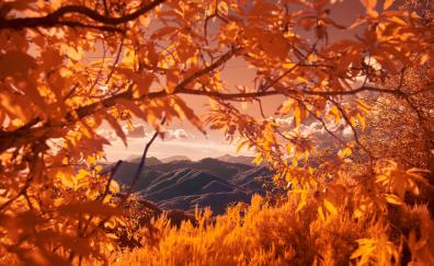 Mountains, tree branch, autumn