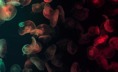 Jellyfish, glow, colorful
