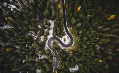 Highway's turn, tree, road, aerial view