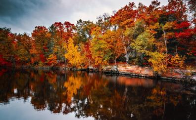 Autumn, lake, nature, reflections