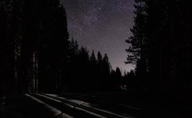 Night, dark, road, starry sky, trees
