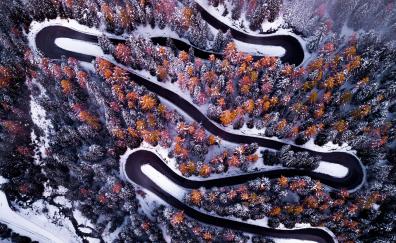 Turns, road, winter, forest, aerial view