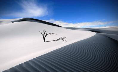 White sand dunes, landscape, lone desert