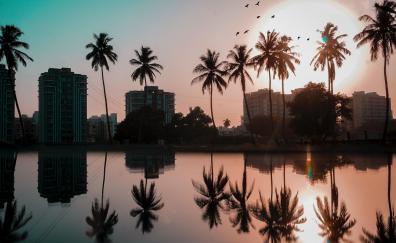 Palm trees, buildings, city, sunset, reflections, silhouette