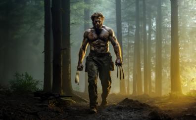 Wolverine with claws, cosplay