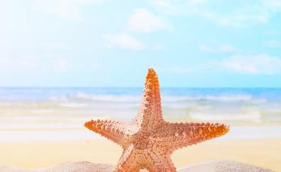 Sand, starfish, beach