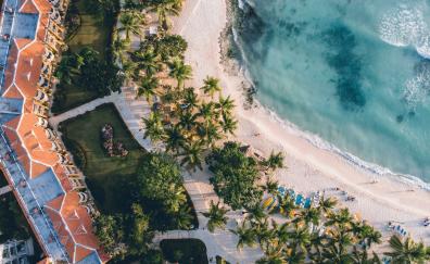 Aerial views of palms and beach, resort, nature
