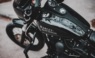 Harley-Davidson, muscle bike