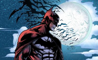 Comics hero, CD, bats and Batman