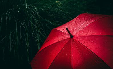 Umbrella red, rain droplets, rain