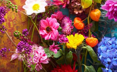 Flowers, bright & colorful, fresh