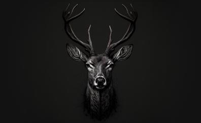 BW, deer muzzle, digital art