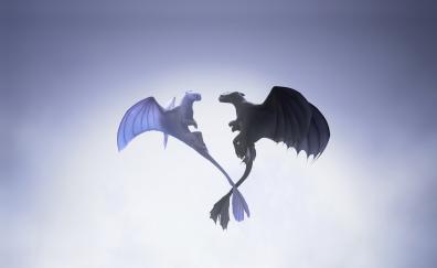 Night and light fury, love in air, dragons, flight