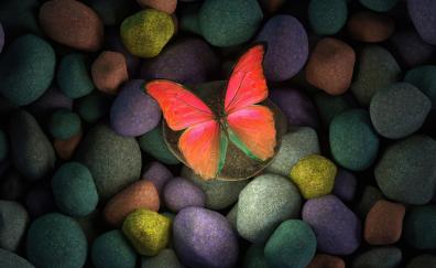 Butterfly on rocks, colorful rocks, art