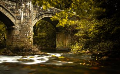 River, stone bridge, old, nature