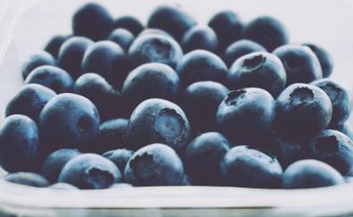Close up, fruits, blueberry