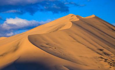 Landscape, sand, dunes, desert