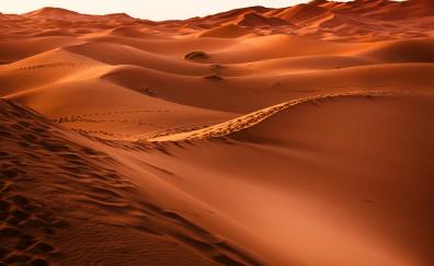 Morocco, desert, sand, dunes