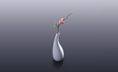 Flowers, vase, minimal