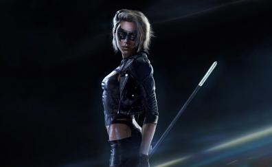 Concept art, Black Canary, dc heroes