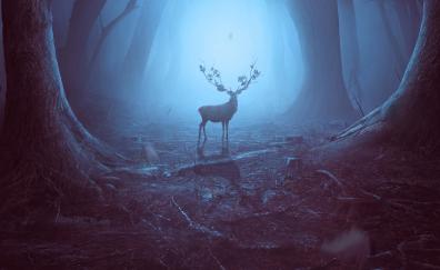 Into the woods, Reindeer, wildlife, art