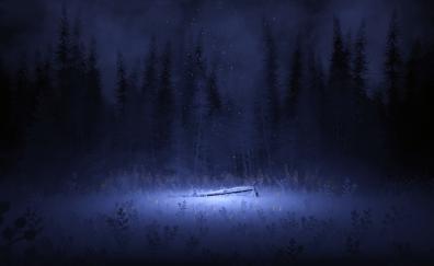 Snowfall of winter night, meadow, art