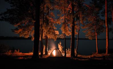 Outing, campfire, trees, tent, night