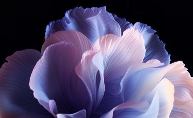 ColorOS, 2023, abstract, stock photo, white petal art