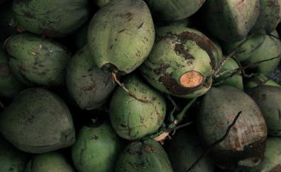 Coconut, green, closeup