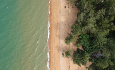 Aerial shot, trees, beach