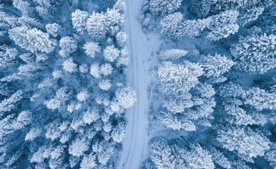 Snowfall, winter, aerial view, road, pine trees