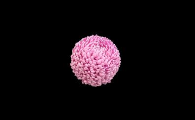 Pink flower ball, minimal