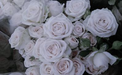 Roses, white flowers, bouquet