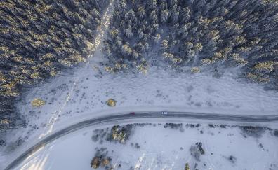 Aerial view, turn, road, trees, winter