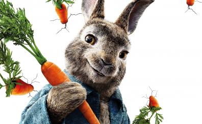 Peter rabbit, animation movie, Rabbit, 2018