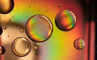 Bubble ball, rainbow colors, close up
