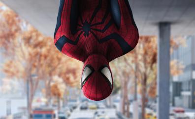 Spiderman beyond, upside down, 2021