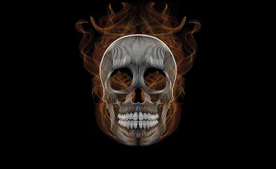 Blend, skull, vector, illustration