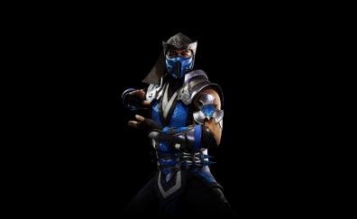 Sub-Zero, warrior, Mortal Kombat 11, video game, minimal