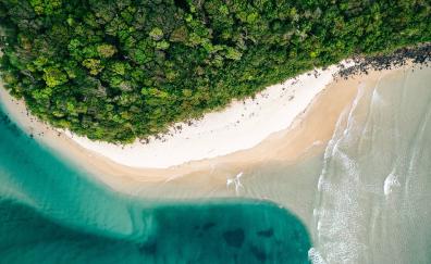 Adorable, aerial view, beach, nature